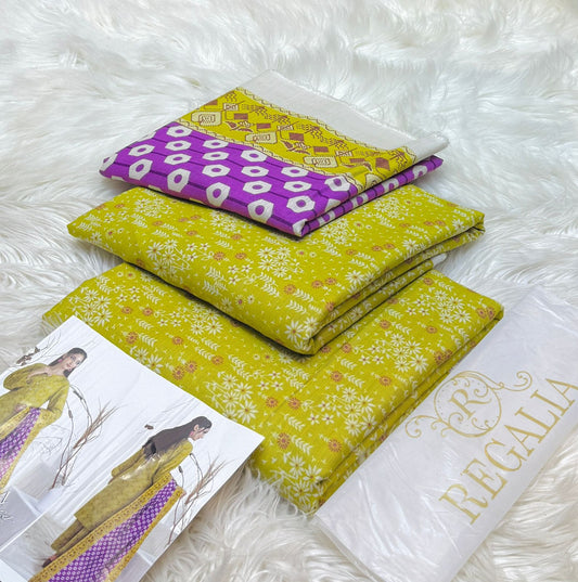 Salina Printed Khaddar  1005-WA0023